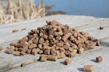 Pellet biscuit