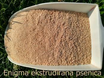 Енигма нокла-пшеница