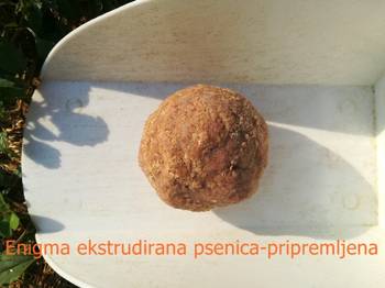 Енигма нокла-пшеница