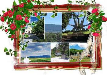 Prodaja placa pod Kosmajem