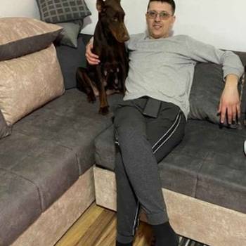Na prodaju stenci dobermana