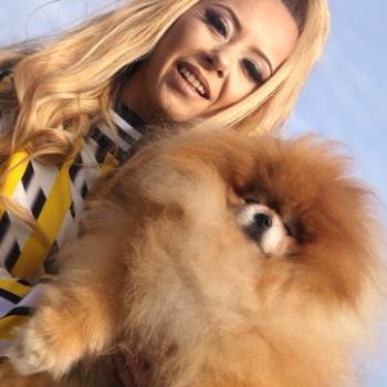Pomeranski špic,Pomeranac,Pomeranian,Boo štenci