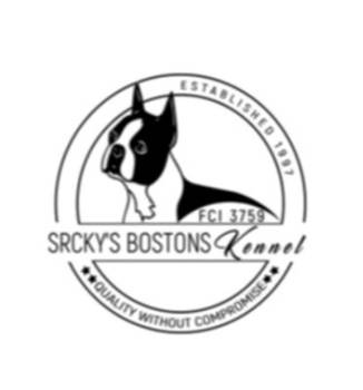 Boston terijer stenci