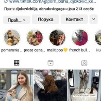 Odgaivacnica ekskluzivnih pomeranaca i pudli