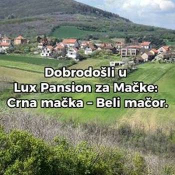 Crna Mačka – Beli Mačor, lux pansion