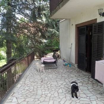 Avala, kragujevacki put. 200 m2, uknjizena 130.000 e