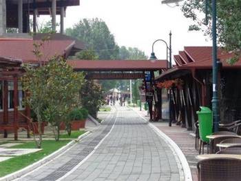 Odmor u Vincima, na Dunavu, u borovoj šumi, povoljno