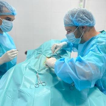 Dezurni veterinar Novi Sad 00-24h