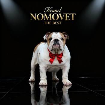 Engleski buldog vrhunski štenci