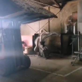 Prodajem kompletnu liniju za proizvodnju peleta