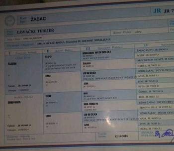 Nemački Lovni terijer