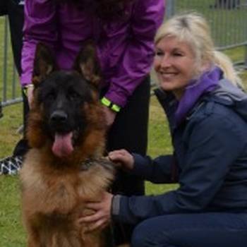 Nemački Ovčari ženska štenad