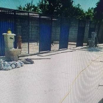 Potreban radnik u prihvatilištu za životinje