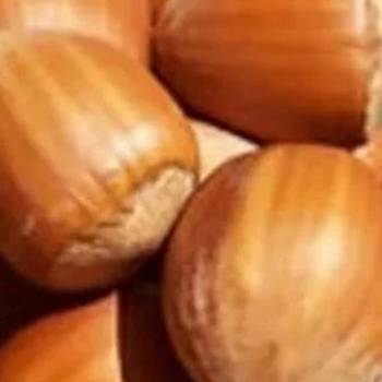 Rezervacije u toku za sadnju voćnih sadnica