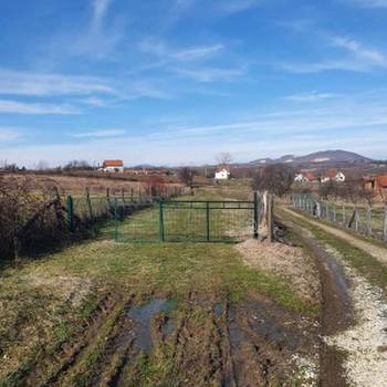 Topola, Gornja Šatornja, njiva 353ara