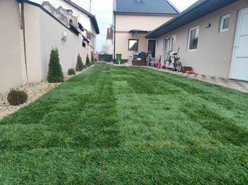 Tepih trava i zalivni sistemi