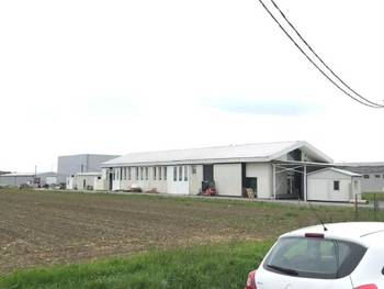 Prizemlje i galerija hale,Beograd-Dobanovci