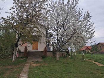 Vikendica na Fruškoj gori, 156m2