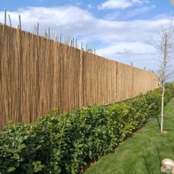 Trska za ograde, dvorišta, letnjikovce