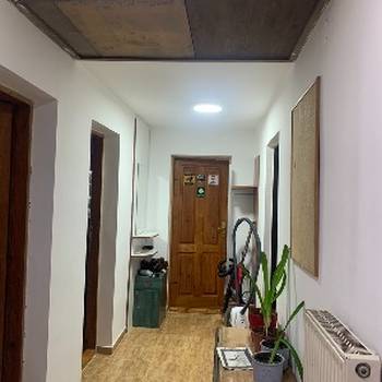 Potrebna treća cimerka u Zemunu